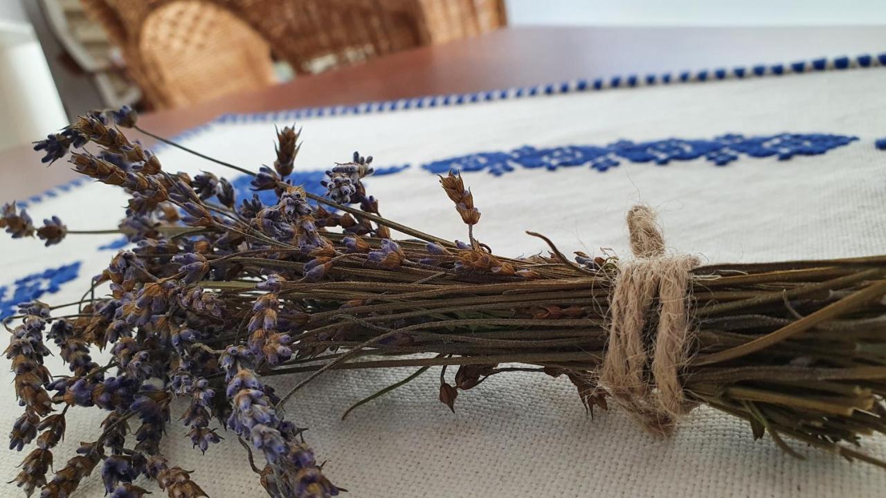 Pensiunea Aranyos Rimetea Exteriör bild